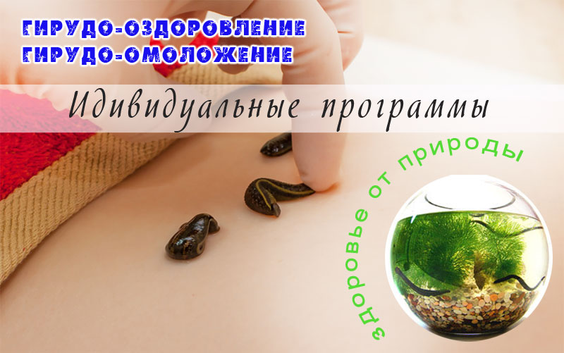 Гирудотерапия в Иркутске. Лечение пиявками в Иркутске